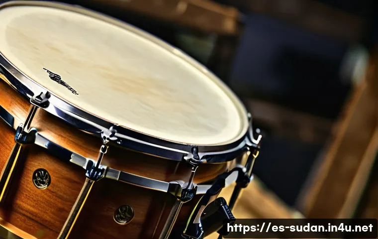 수단 전통 악기 타라 관련 이미지 1